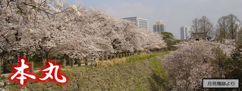 月見櫓跡より