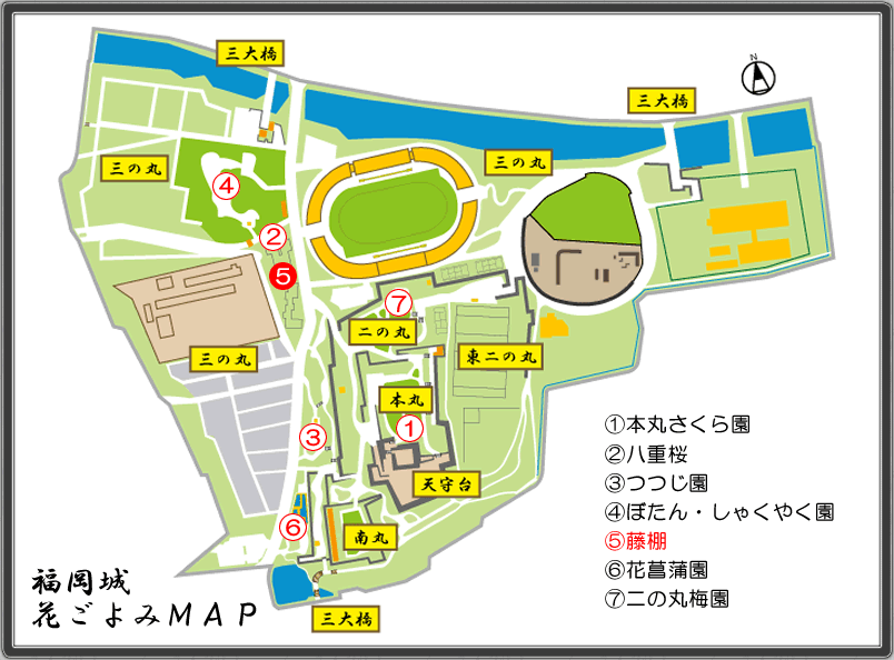 花ごよみＭＡＰ(藤棚)