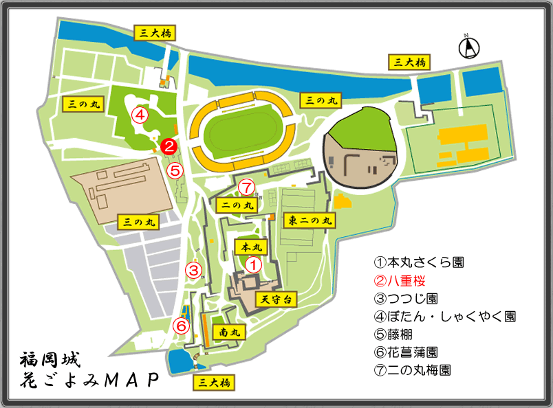 花ごよみＭＡＰ(八重桜)